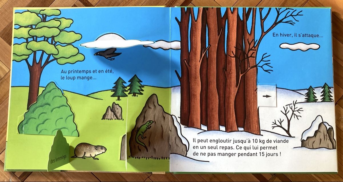 Bücher: Livre éducatif sur le loup – Neu und originalverpackt aus Ardon von hel_2sxp 2