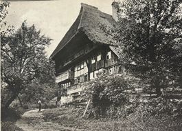 MONO-Karte 1906 - Schwarzwaldhaus, Strohdach, Landwirtschaft