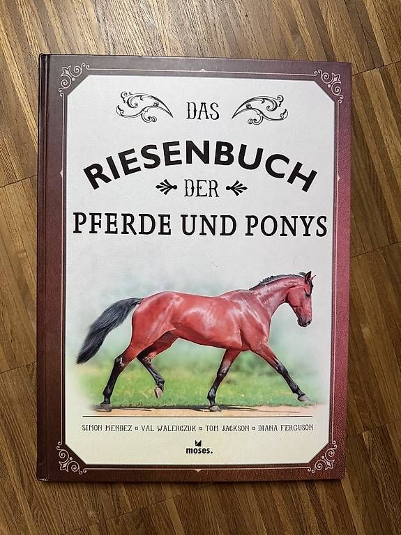 Libri: Das Riesenbuch der Pferde und Ponys – Usato da Basel venduto da AMV_14a