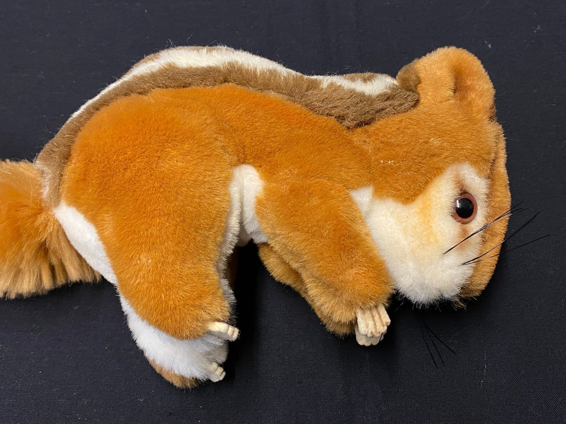 Statuette: STEIFF Eichhörn, Made in Germany, 2025/18, CE – Usato da Schaffhausen venduto da vintageworld 1
