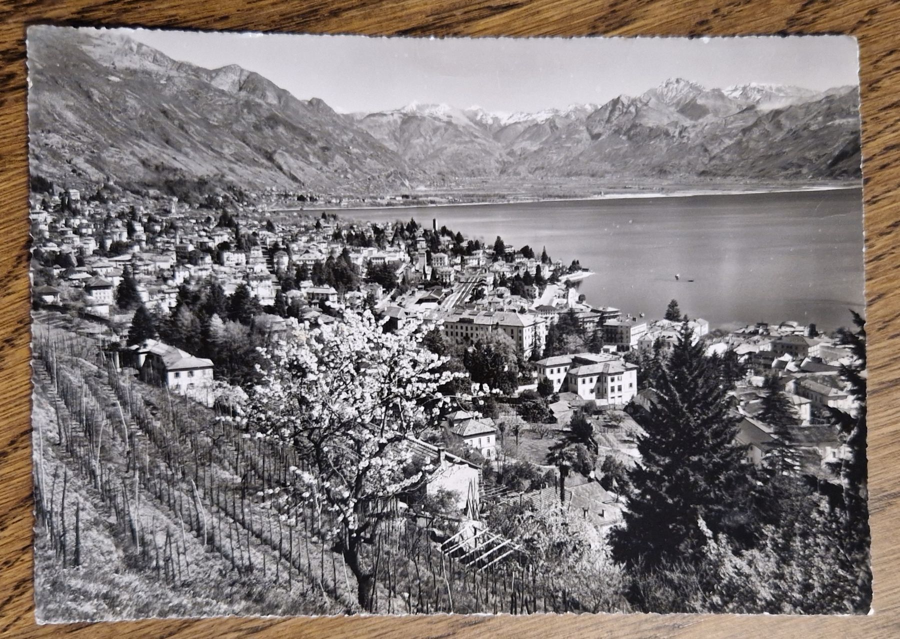 Cartes postales: Locarno 1955 – D'occasion à Ebikon par Donar50