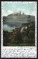 AK Weggis, Ortsansicht mit Pilatus, 1902