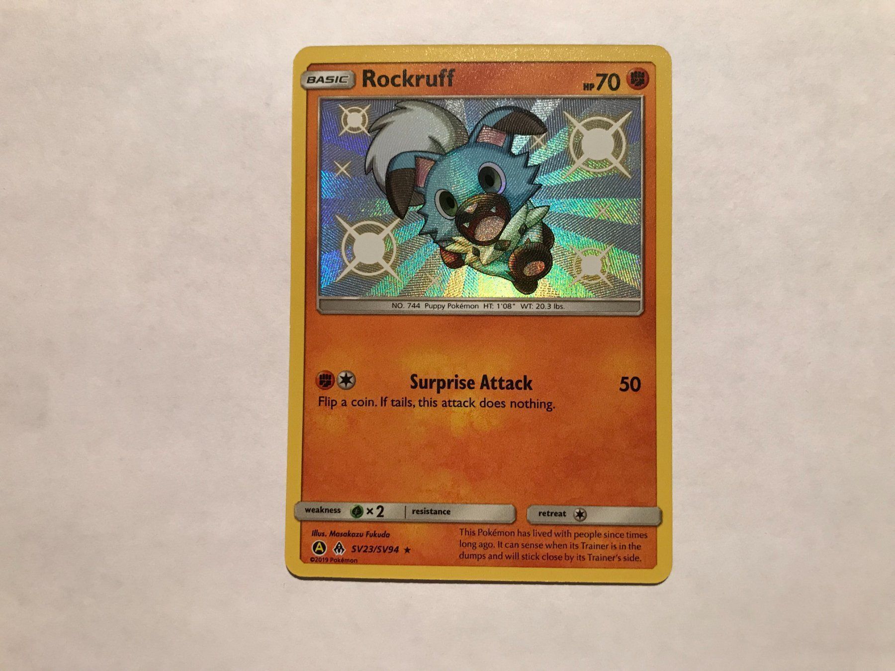 Pokémon Carte collezionabili: Rockruff Shiny EN – Usato da Hagendorn venduto da Pokecollectorch 1