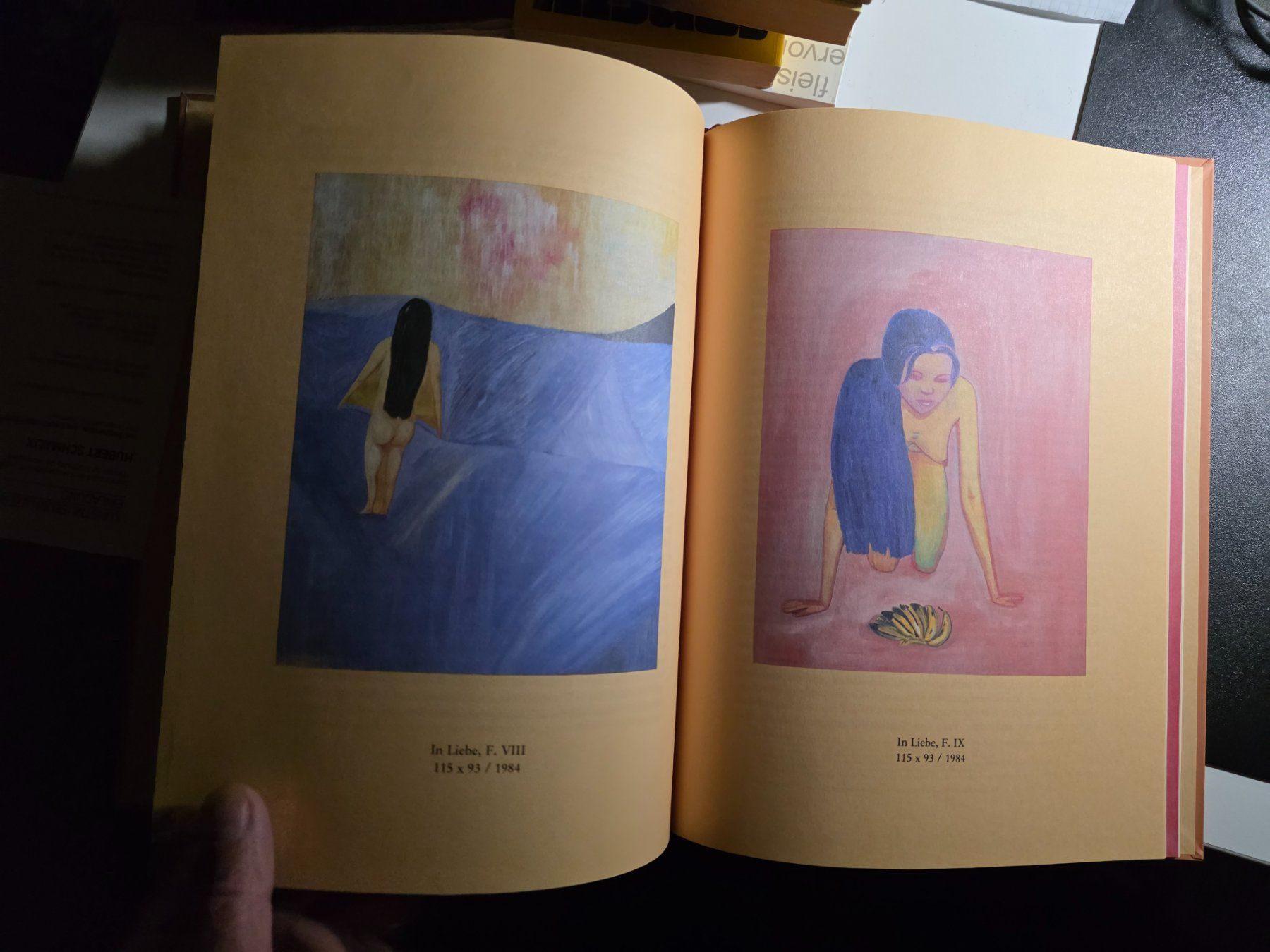 Libri: Yasmin und Iris - Hubert Schmalix - Kunst Buch 1986 – Usato da Walterswil BE venduto da Lonitti 1
