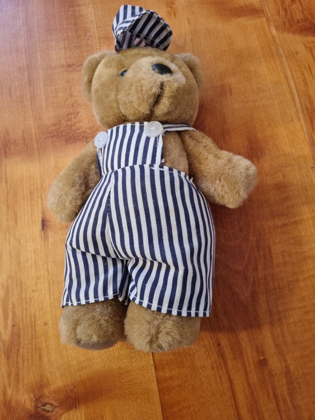 Spielzeuge: niedlicher Teddy-Bär – Gebraucht aus Fürstenaubruck von PizBeverin2018 1