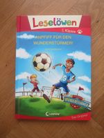 Leselöwen 1. Klasse - Fussballgeschichte