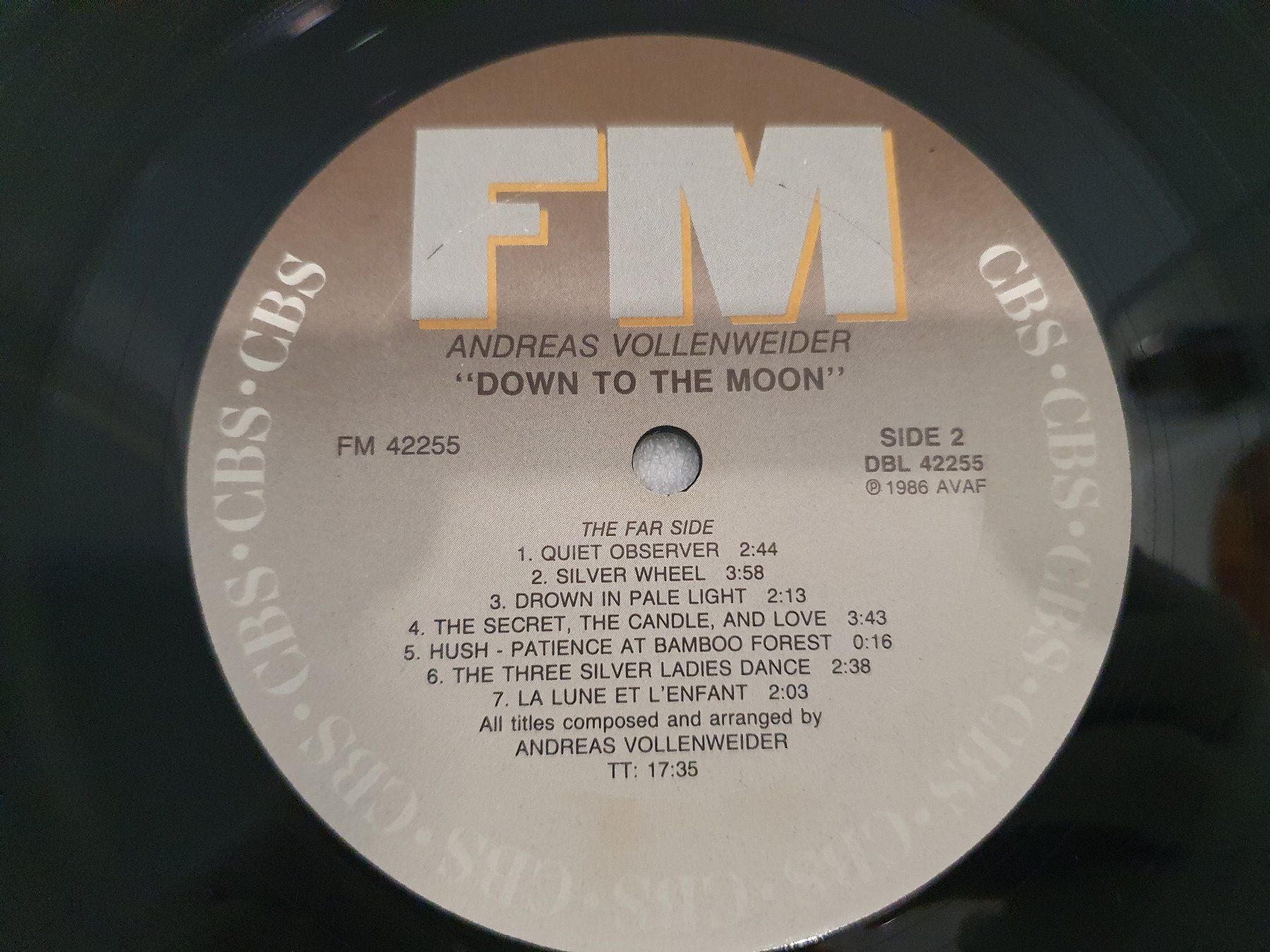 Dischi in vinile: Andreas Vollenweider – Down To The Moon – Usato da Uster venduto da Vinyl-Leidenschaft 6