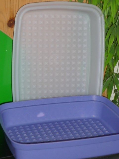 Tupperware Contenitori & Simili: TUPPERWARE 24X19 CM. H. 8 CM. CA. – Usato da St.Gallen venduto da Anso 1