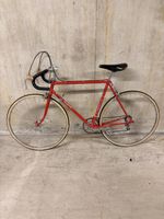 Allegro Rennvelo frisch ab Service 