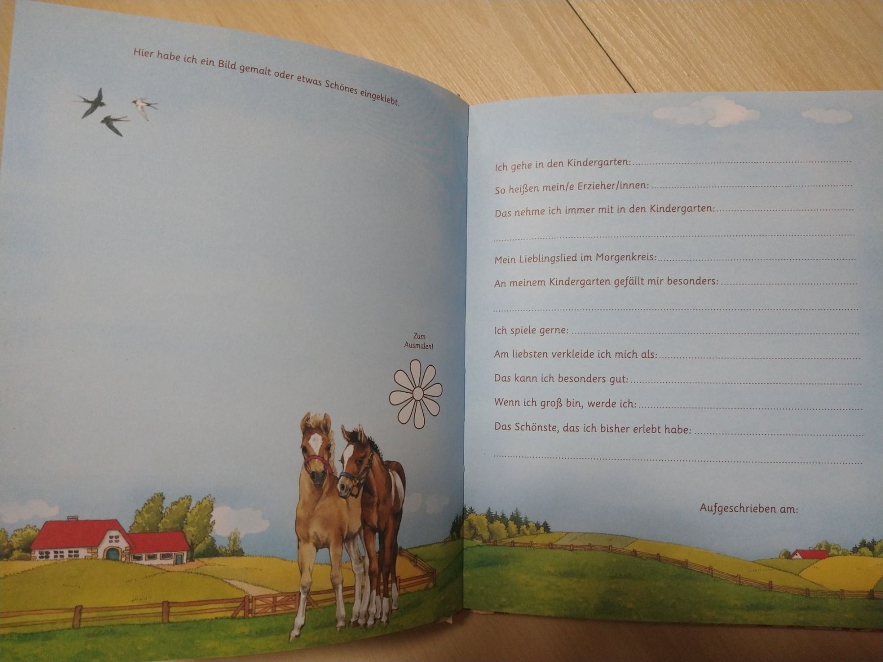 Libri: Freundebuch Kindergarten – Nuovo (secondo la descrizione) da Bätterkinden venduto da livingdreams 2