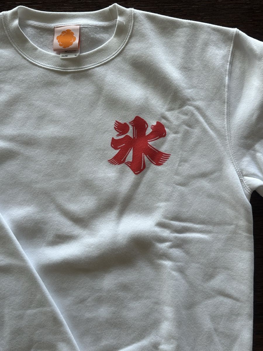Pulls & Sweat-shirts: Cozy Pullover – Neuf avec emballage d'origine à Zürich par davozn 2