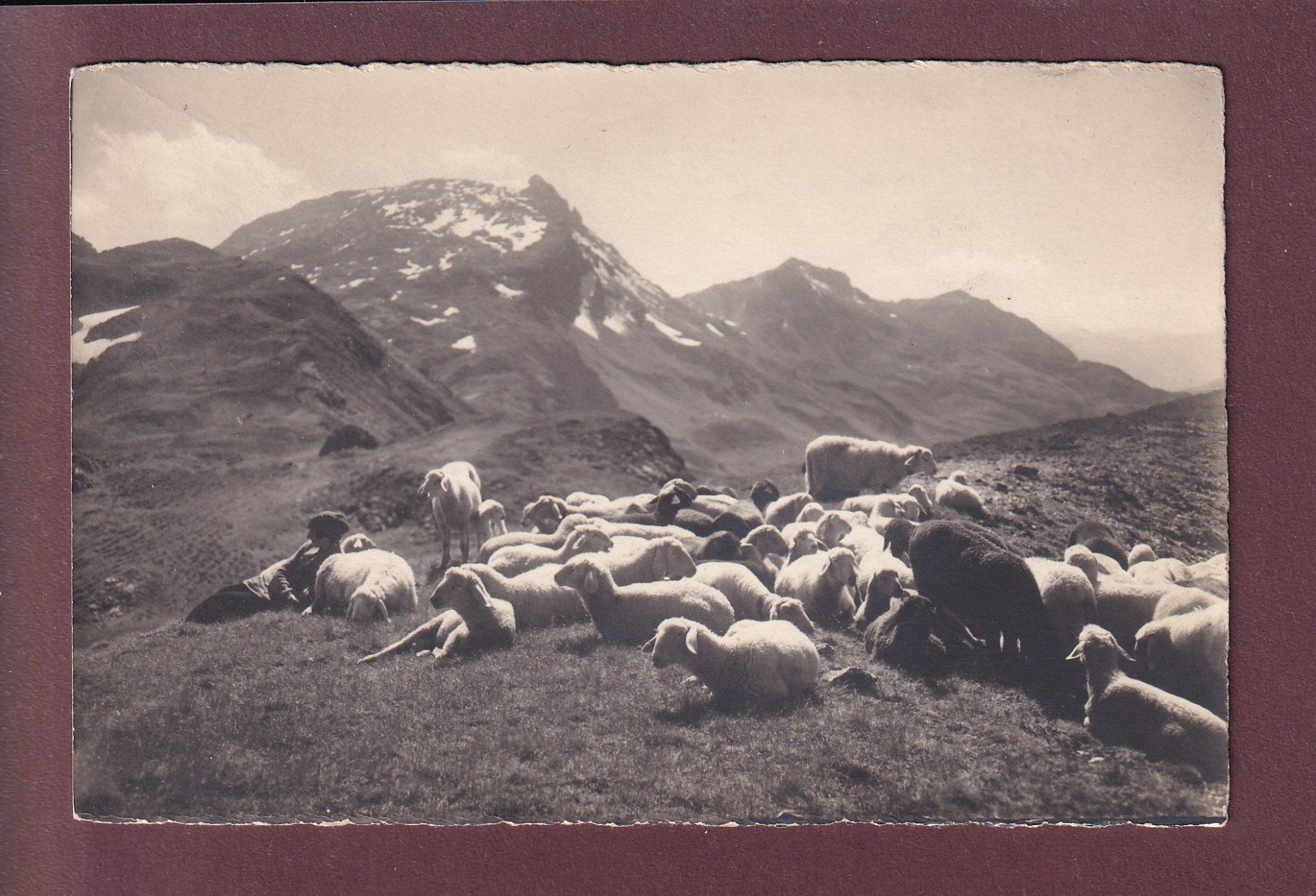 Cartoline postali: Schafherde - MITTAGSRAST auf Bündneralp – Usato da Pully venduto da nicecards