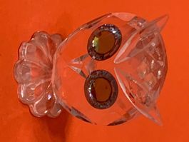 Swarovski Eule mit OVP