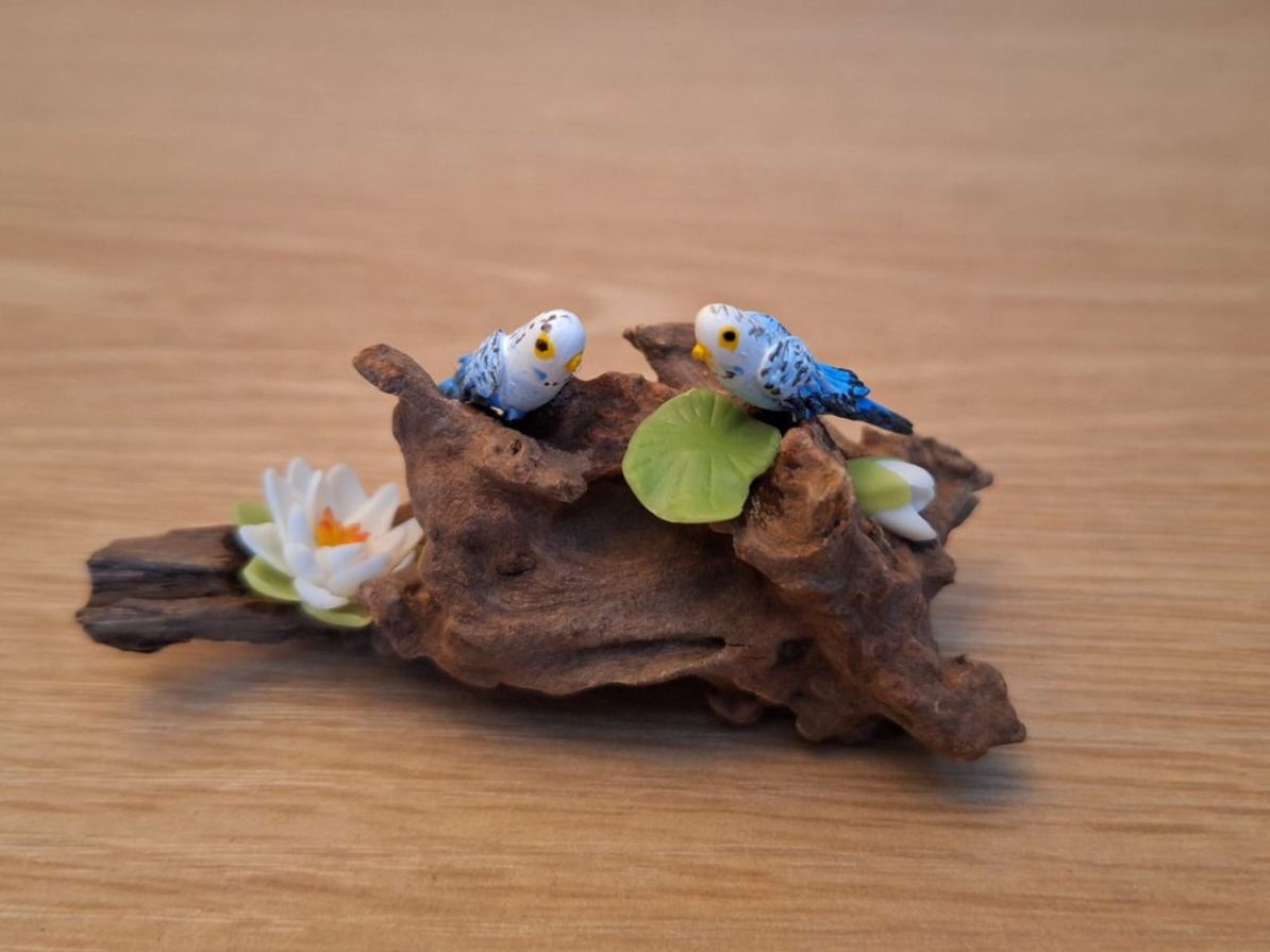 Case e mobili per bambole: Vogel Diorama, Miniaturen, Setzkasten – Nuovo (secondo la descrizione) da Zürich venduto da HandmadeTinyFood 4