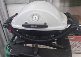 Weber Q 120 Gas Grill 