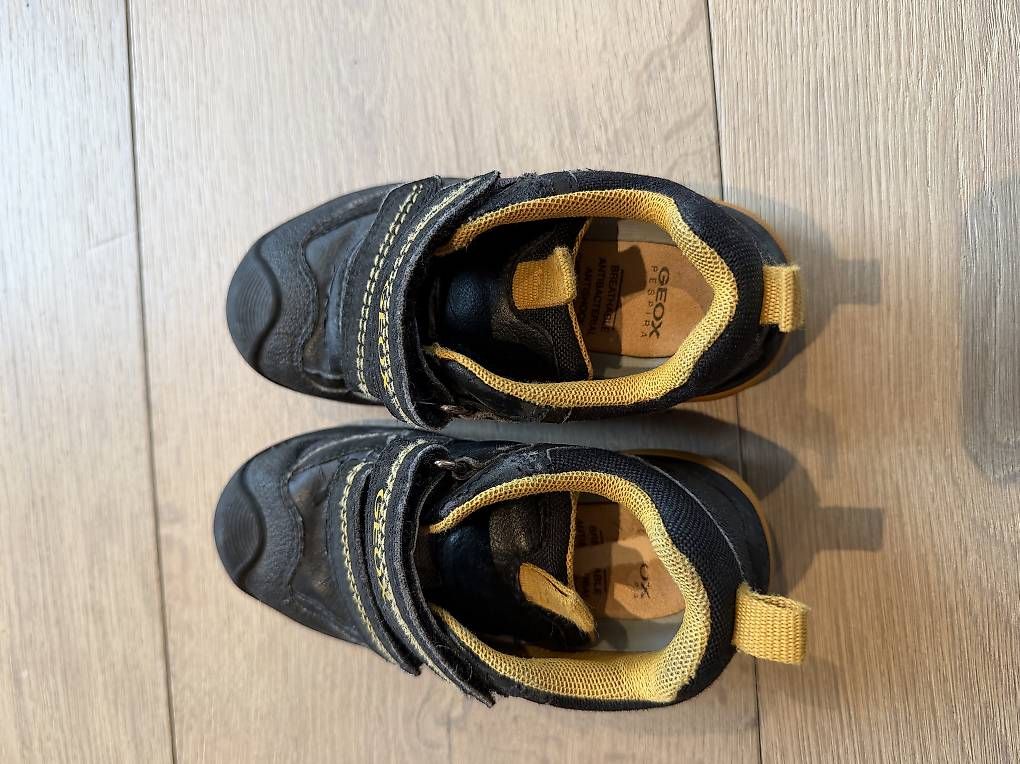 Geox Scarpe per ragazzi: Geox Schuhe Grösse 25 – Usato da Ebmatingen venduto da N.Bu 1