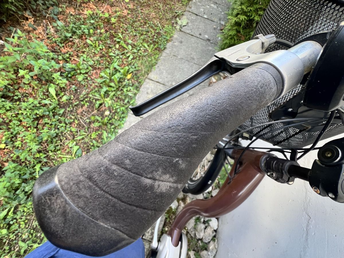 Flyer Velos: Flyer e-bike – Gebraucht aus Rümikon AG von Tati72 4