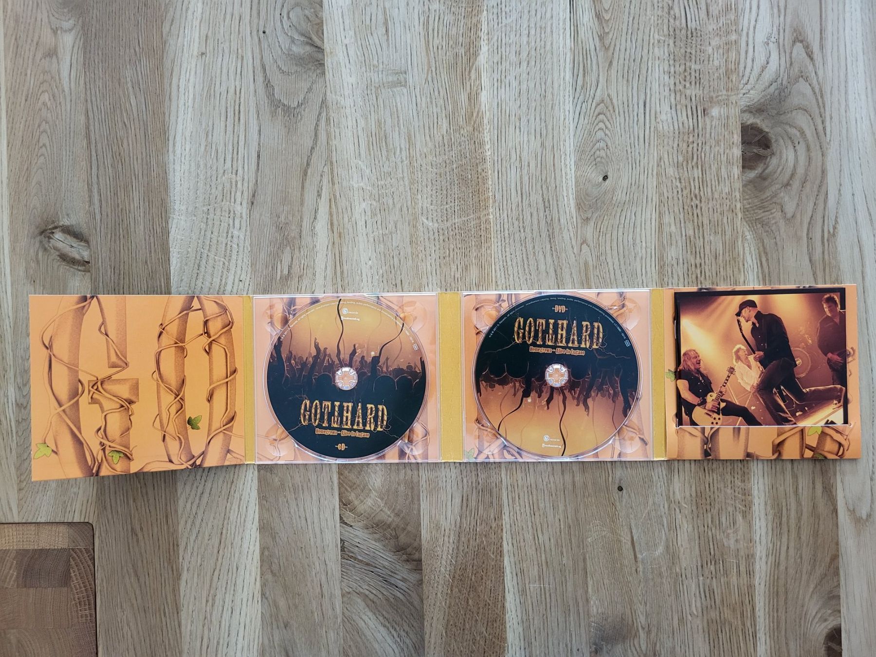 CDs: Gotthard - Homegrown - Alive in Lugano CD + DVD – Gebraucht aus Waltenschwil von creativeline 2