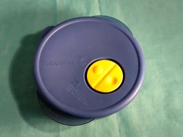 Tupperware Behälter für die Mikrowelle, blau, 4dl