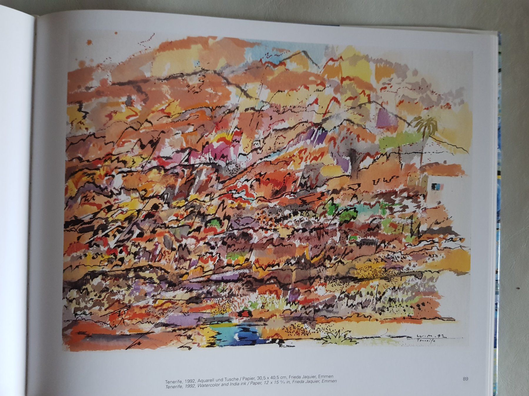 Libri: Buch Werner Meier 1993 – Usato da Walterswil BE venduto da Lonitti 6
