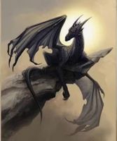 Malen nach Zahlen: Schwarzer Drache 40x50cm