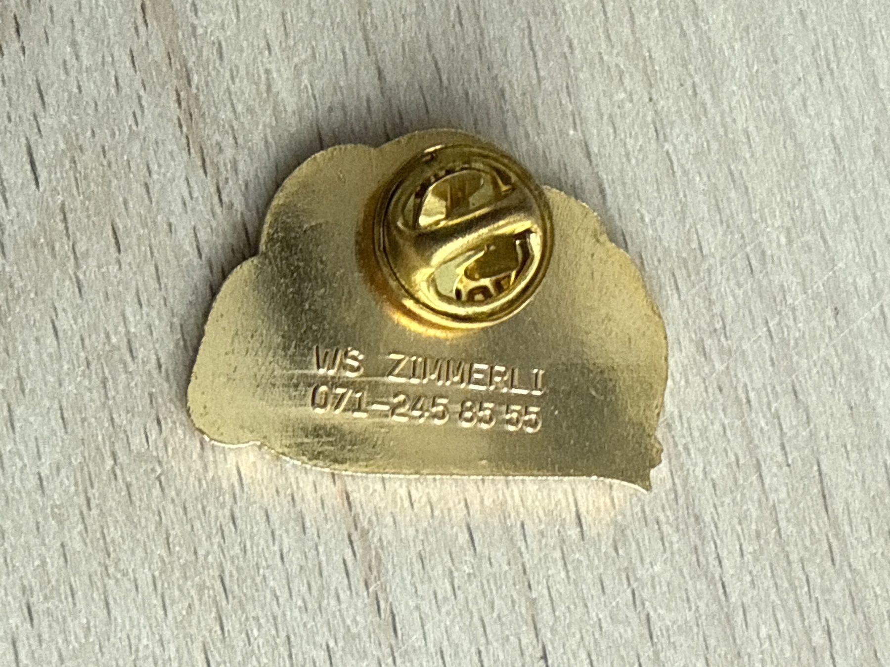 Placchette & Badge: Pin Intern. Bodensee-Kirchentag 96 – Usato da Glattbrugg venduto da Schweigmatt 1