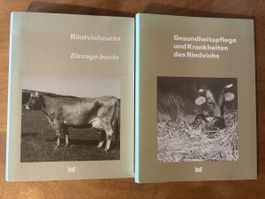 Gesundheitspflege, Krankheiten & Rindviehzucht