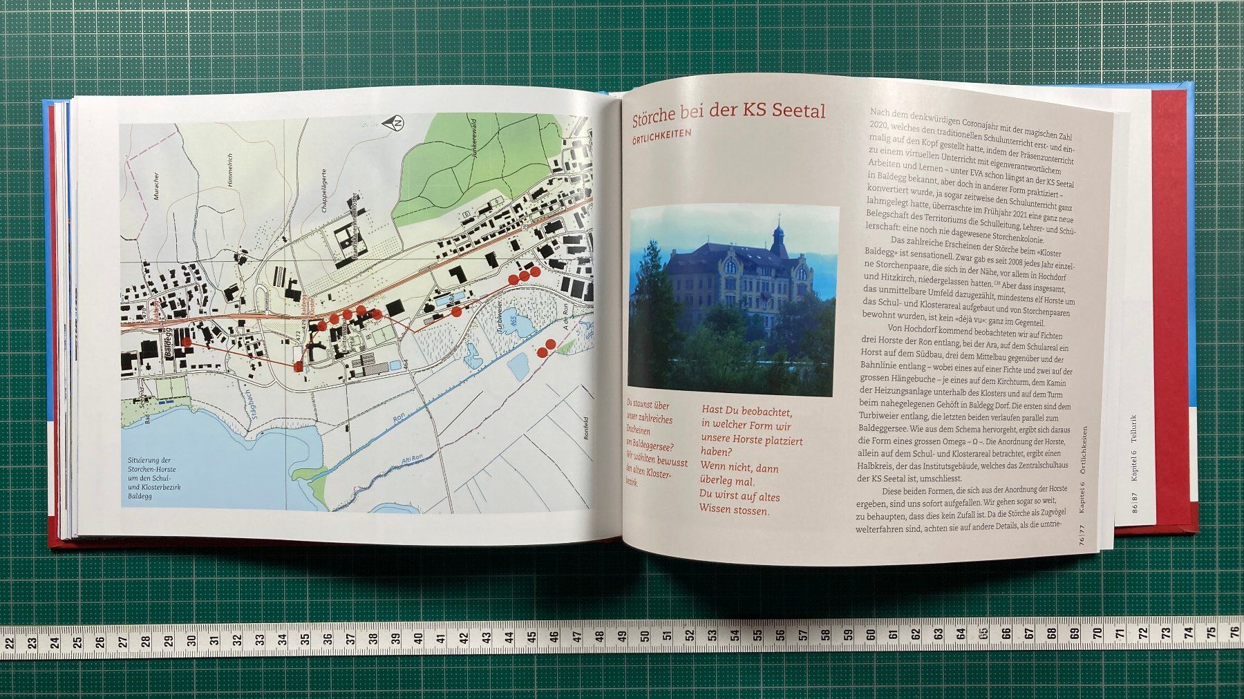 Libri: Maria Brun: STORCH, Schul- und Klosterbezirk Baldegg – Usato da Lenzburg venduto da fh1 8
