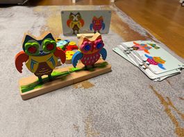GoGo Toys Magnetisches Eulen-Zuordnungsspiel  Wie neu!