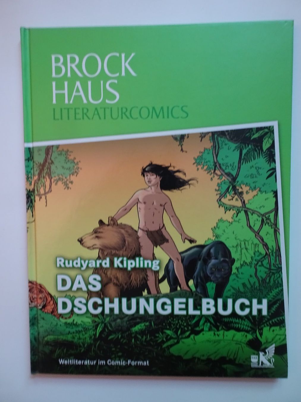 Comics: Brock Haus Literaturcomics Das Dschungelbuch Comic – Gebraucht aus Schönenwerd von schnitzunddrunter