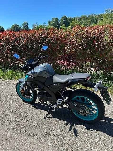 Strada: Yamaha MT-125 – Usato da Bözen venduto da Rustico 1
