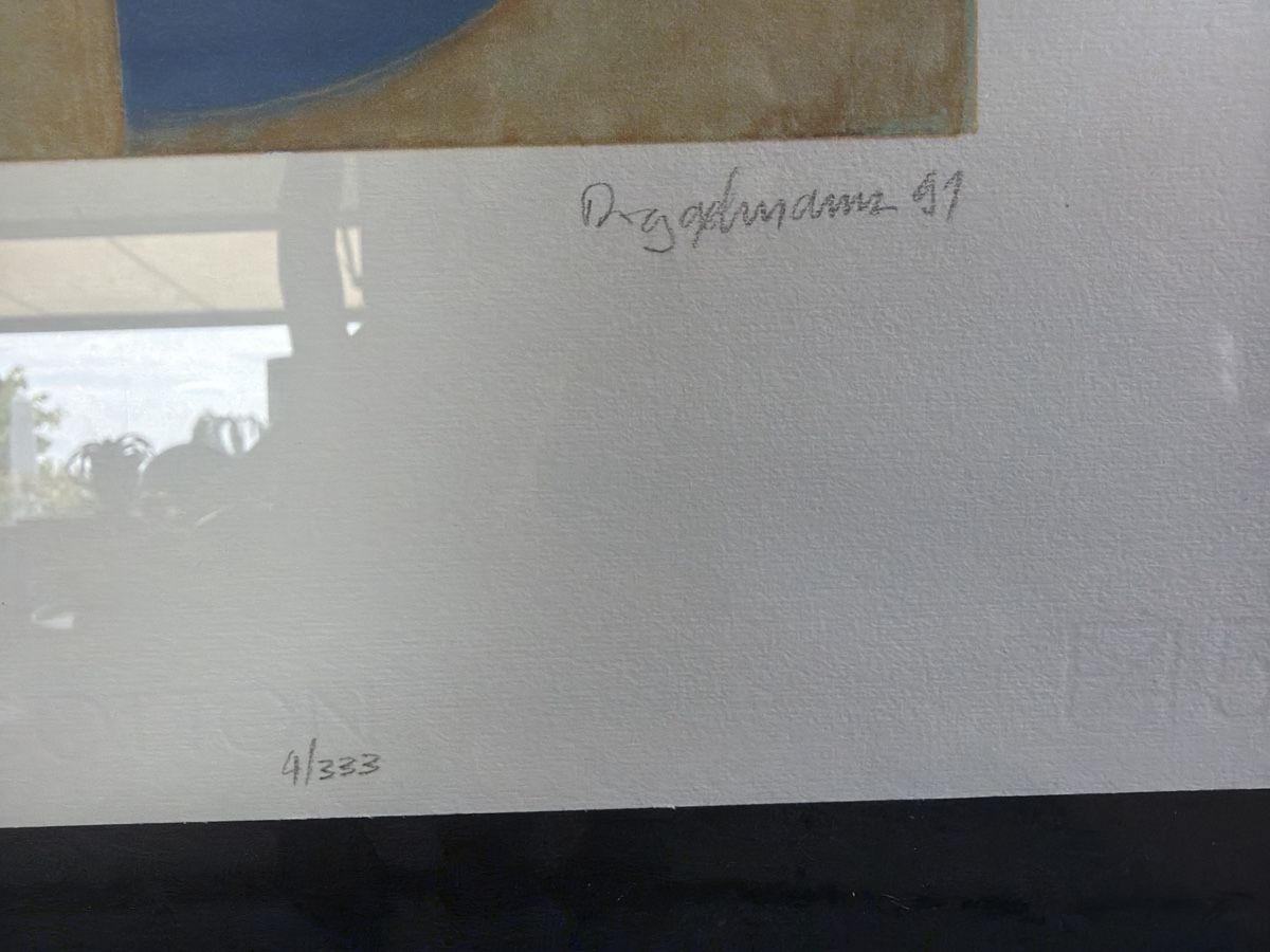 Grafica & Litografie: Litho Daniel Diggelmann 1991 4/333 schön gerahmt  – Usato da Uitikon Waldegg venduto da Kebo01 2