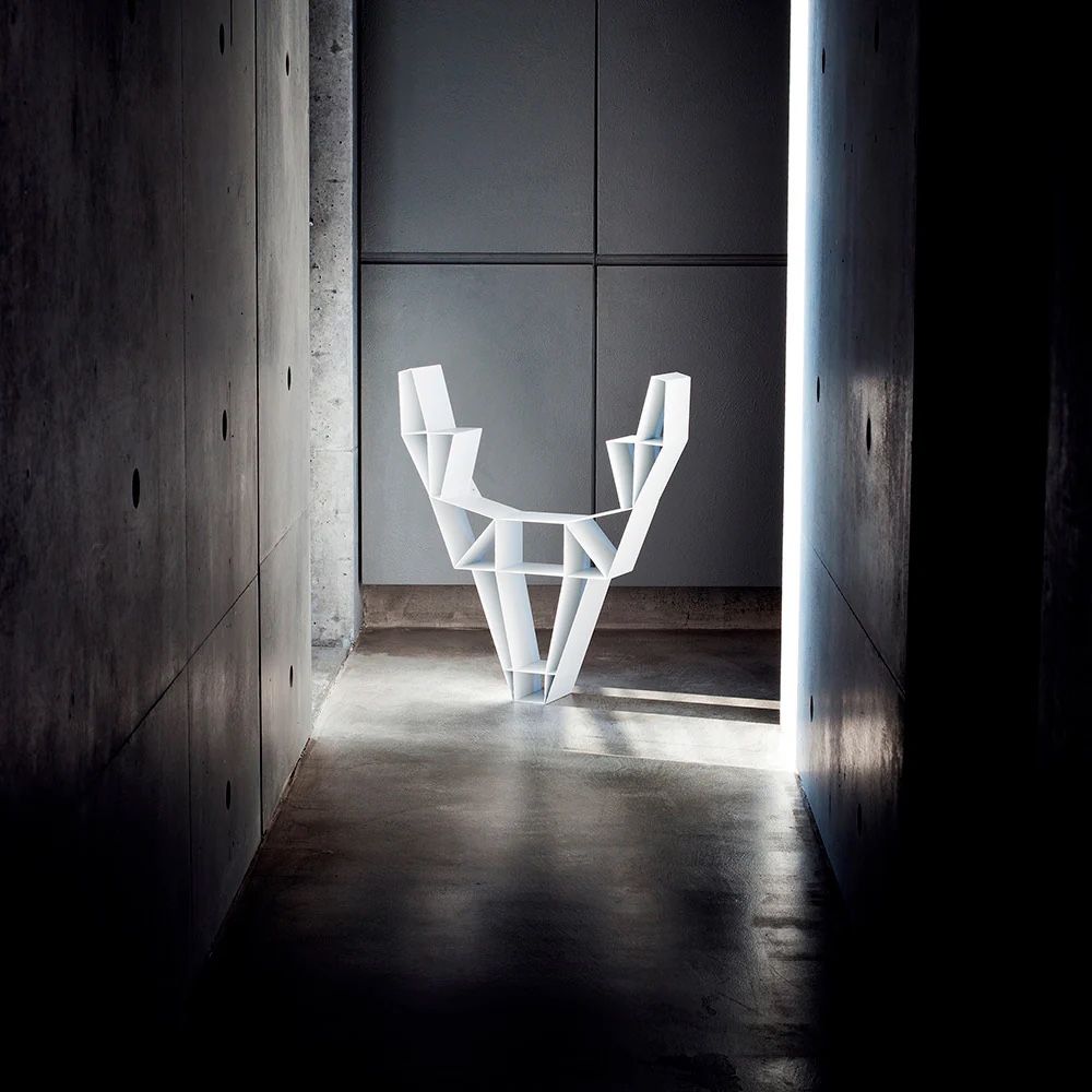Scaffali: Wandregal Deer by BEdesign – Usato da Wädenswil venduto da Ktodat 1