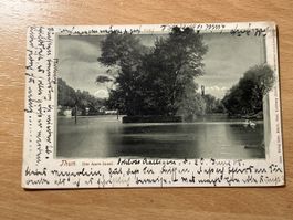 Alte Ansichtskarte Thun, Aare-Insel, gelaufen 1905, Rarität