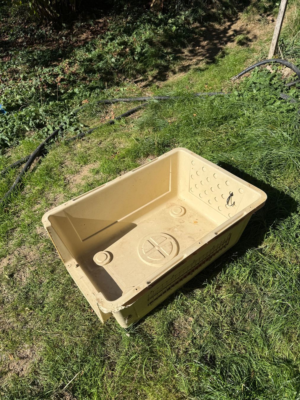 Gabbie, trasporto & Sicurezza: Hunde Box Vari Kennel – Usato da Röschenz venduto da Bajana01 2