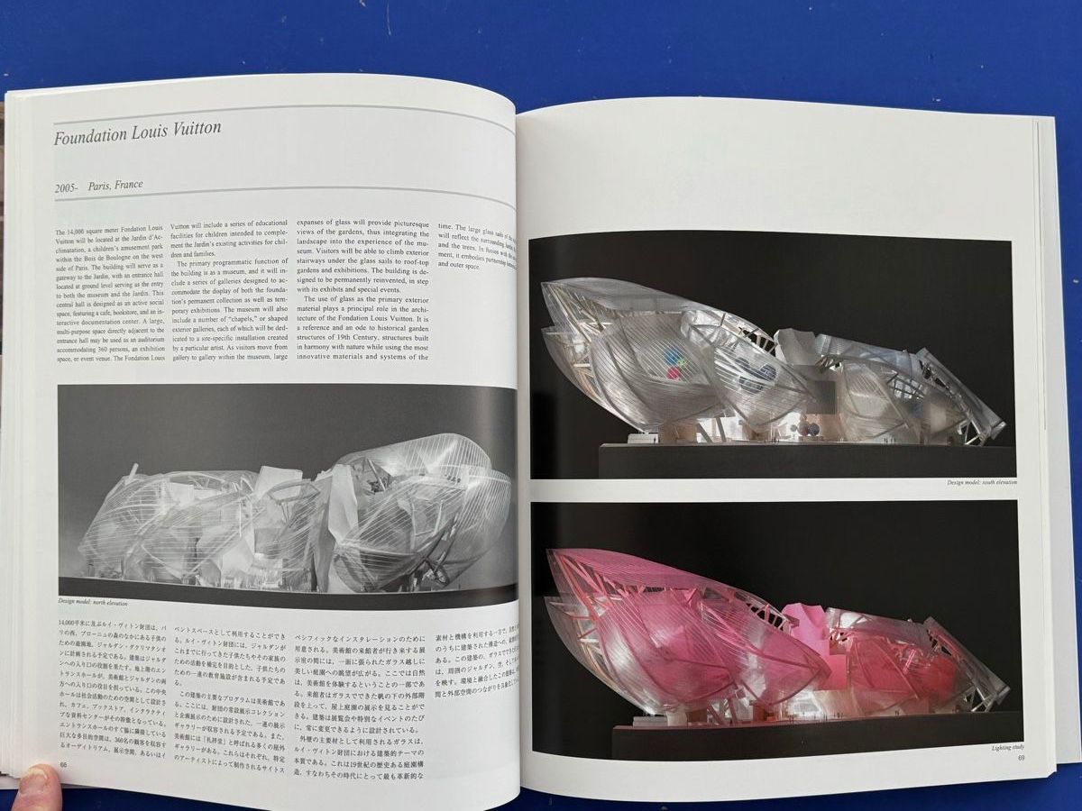Libri: Frank Gehry. Recent Project. Architektur – Usato da Adliswil venduto da buch_und_kunst 5