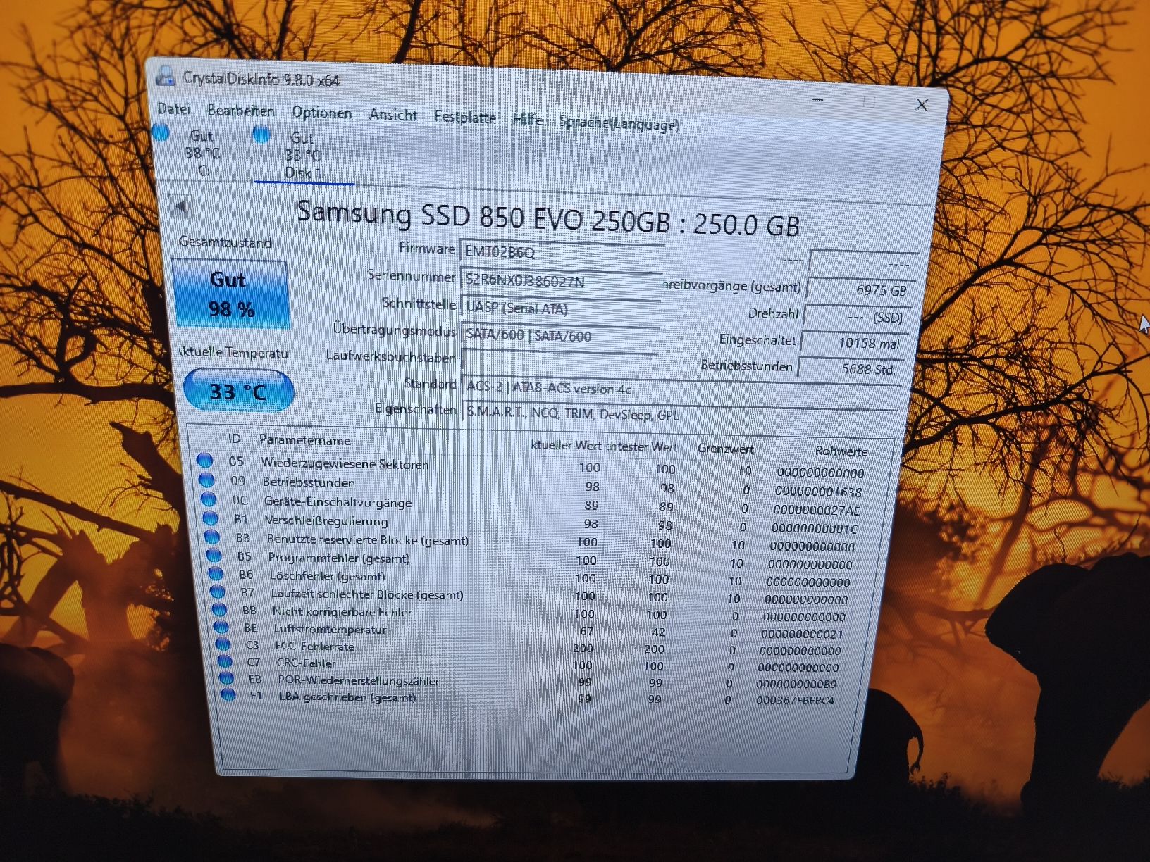 Samsung Harddisks: 2 Festplatten Samsung 250 Gb – Gebraucht aus Burgdorf von weggu.666 1
