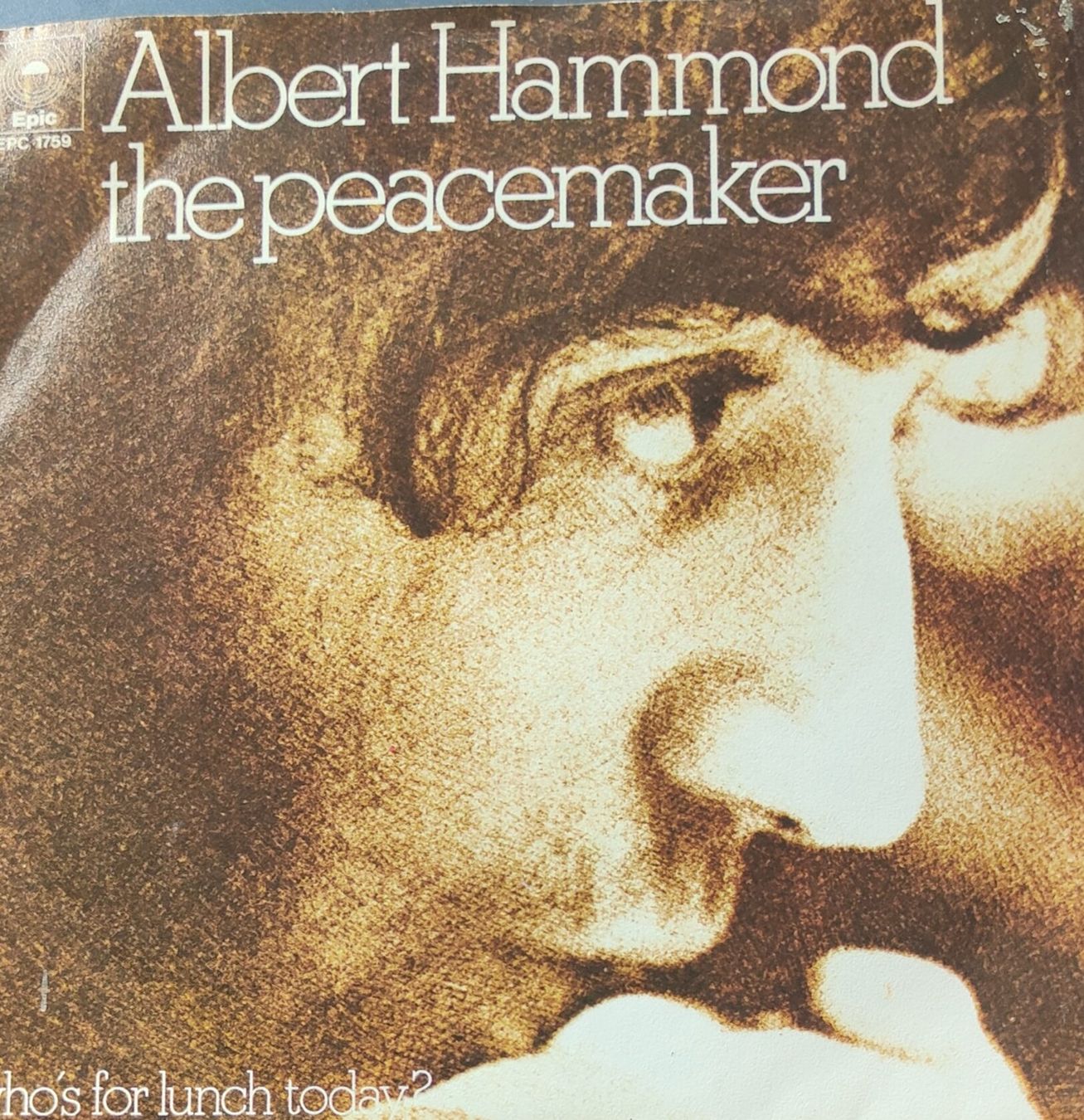 Dischi in vinile: Vinyl Single Albert Hammond - The Peacemaker – Usato da Langenthal venduto da Modo39