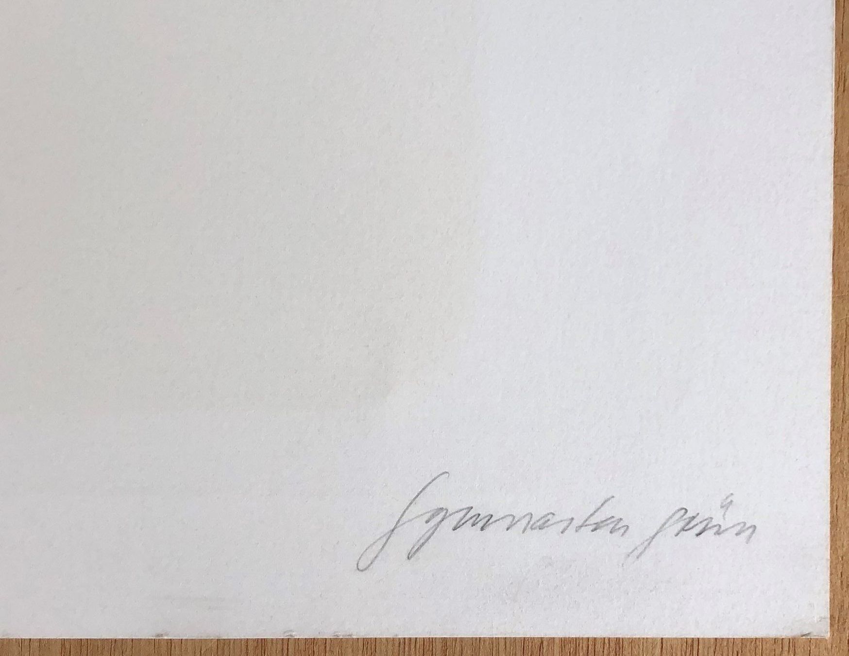 Grafica & Litografie: Hans Erni Orig Lithographie Handsigniert – Usato da Müllheim Dorf venduto da Othmar73 8