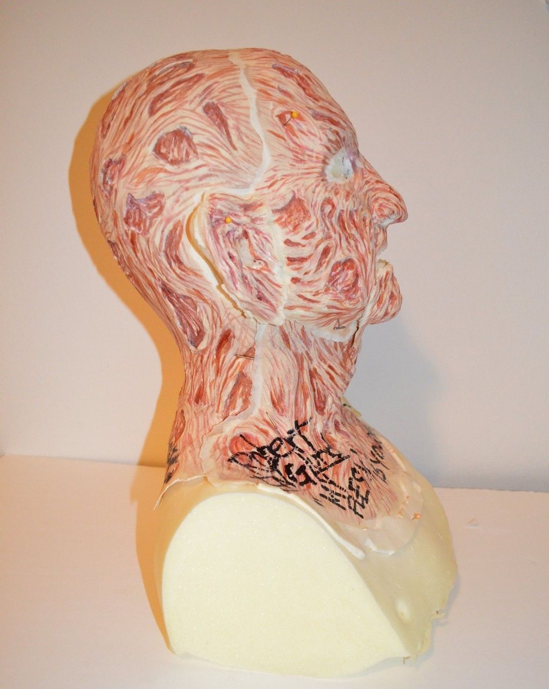 Visage & Oreilles: Freddy Krueger / Robert Englund Autographed Makeup – D'occasion à Malters par starfighter01 3
