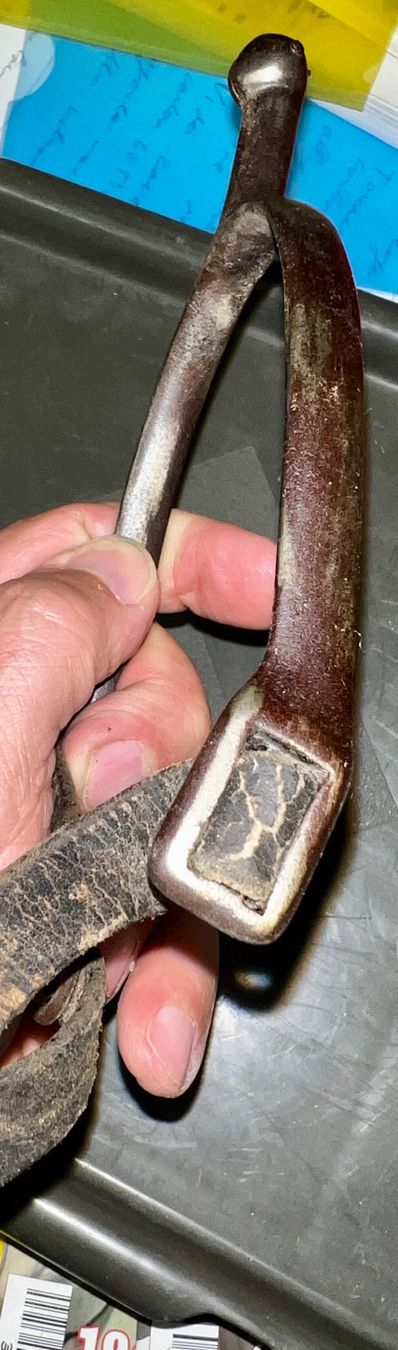 Sattel & Sattelzubehör: eperon cheval  Eperon Pferd – Gebraucht aus Nyon von 65d45 4
