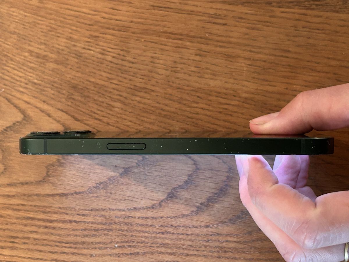 Apple Telefoni cellulari / Smartphones: iPhone 13 256gb  – Usato da Winterthur venduto da AnniAnnina 5