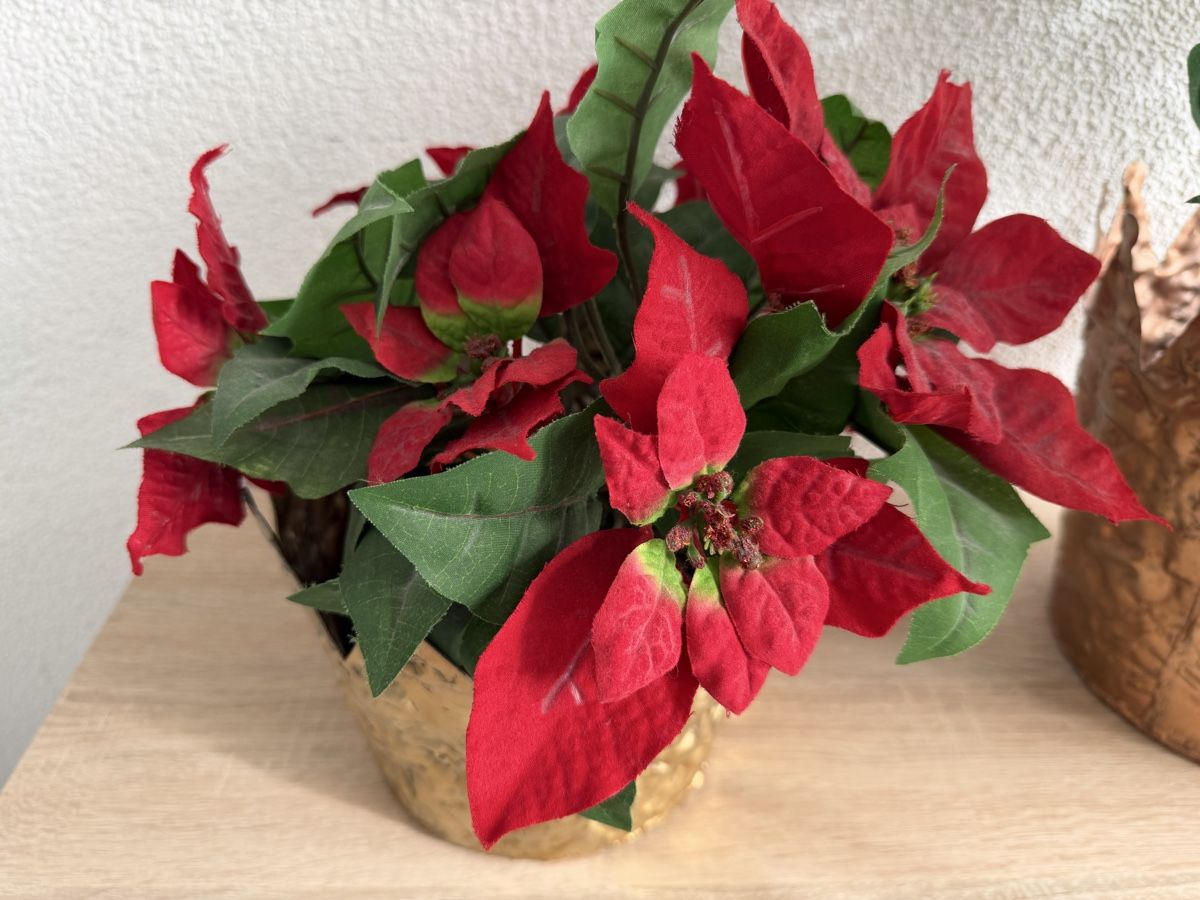 Tutte le decorazioni: Deco Weihnachtsstern Kunstblumen – Nuovo (secondo la descrizione) da Bettlach venduto da Tradenet100 2