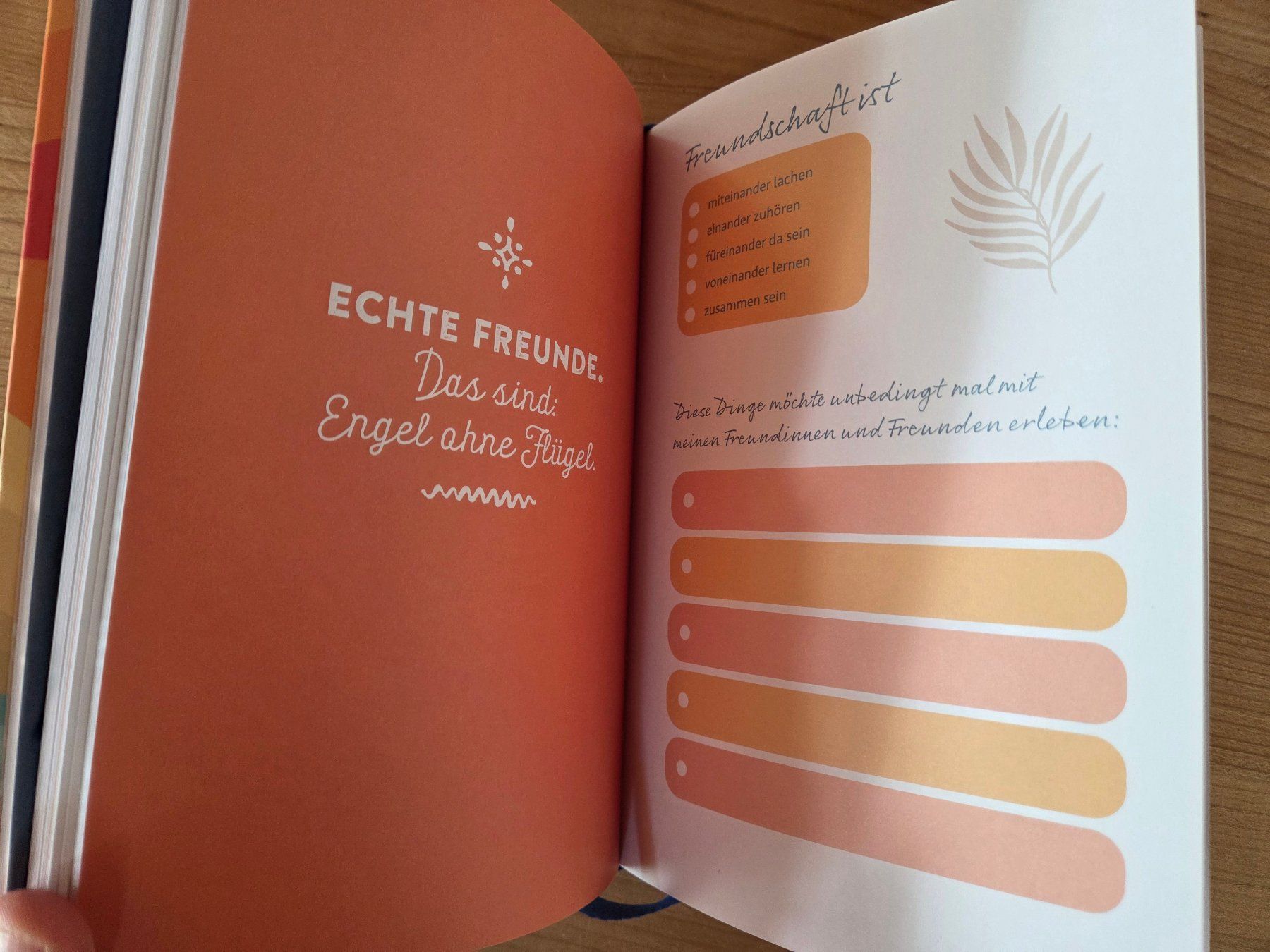 Libri: 2 Artikel zur Konfirmation – Nuovo e nell'imballaggio originale da St. Gallen venduto da Razoon77 8