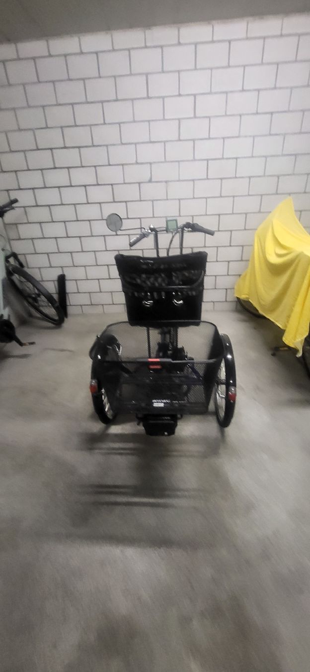 Biciclette: Dreirad mit Elektrounterstützung Motor 36V, 250W DC – Usato da Biberist venduto da lauraelias 2
