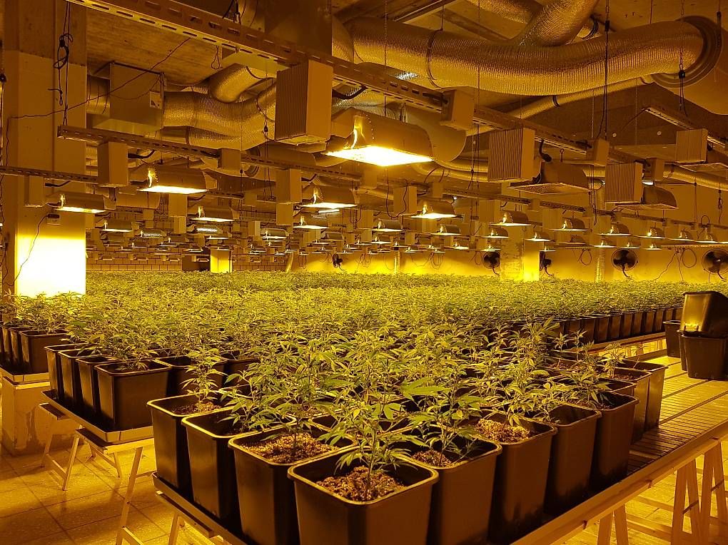 Alle Werkzeuge: CBD Material – Gebraucht aus Schangnau von windkraft