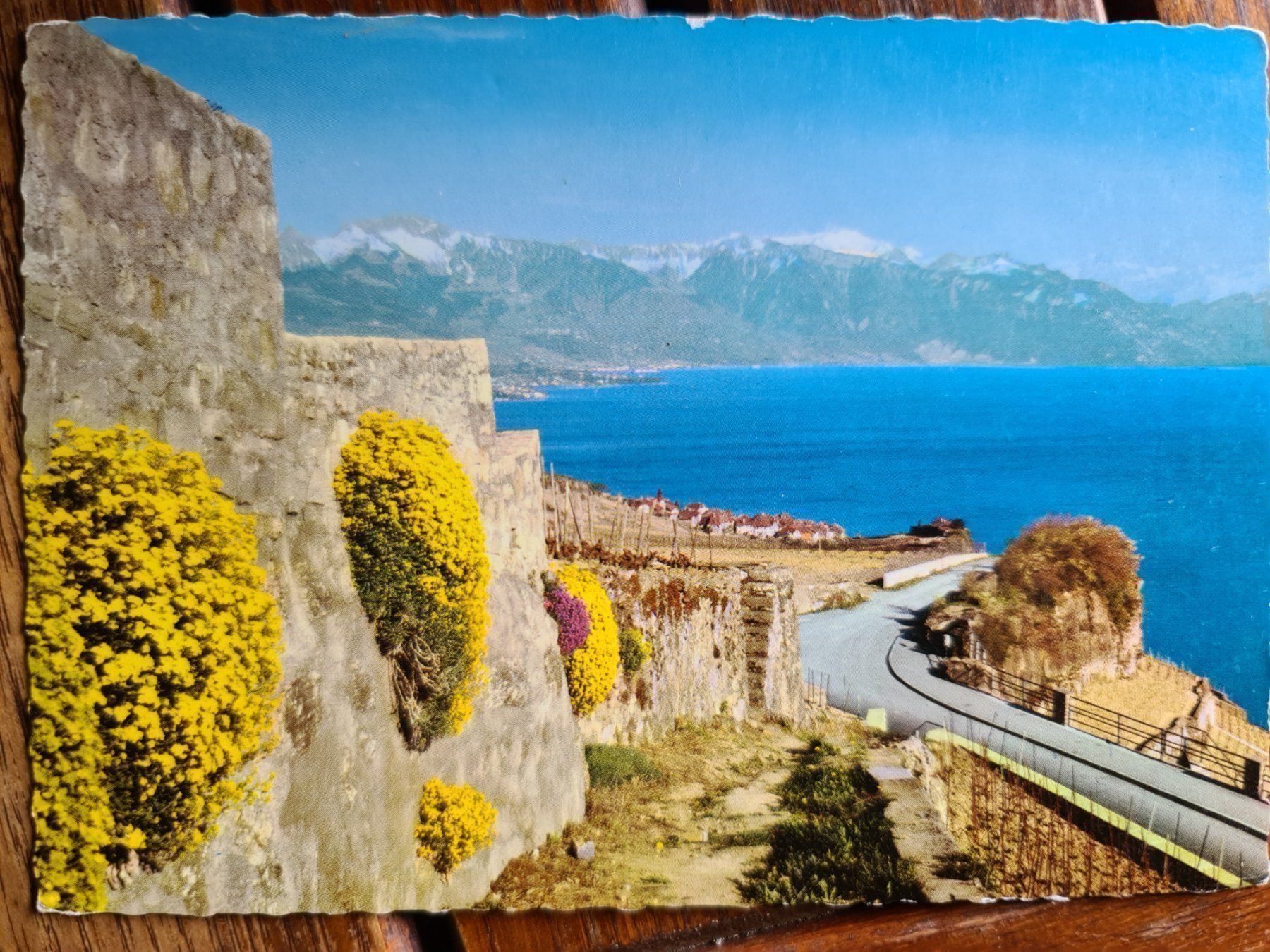 Cartoline postali: Ansichtskarte Corniche Genfer See – Usato da Dintikon venduto da Vexi