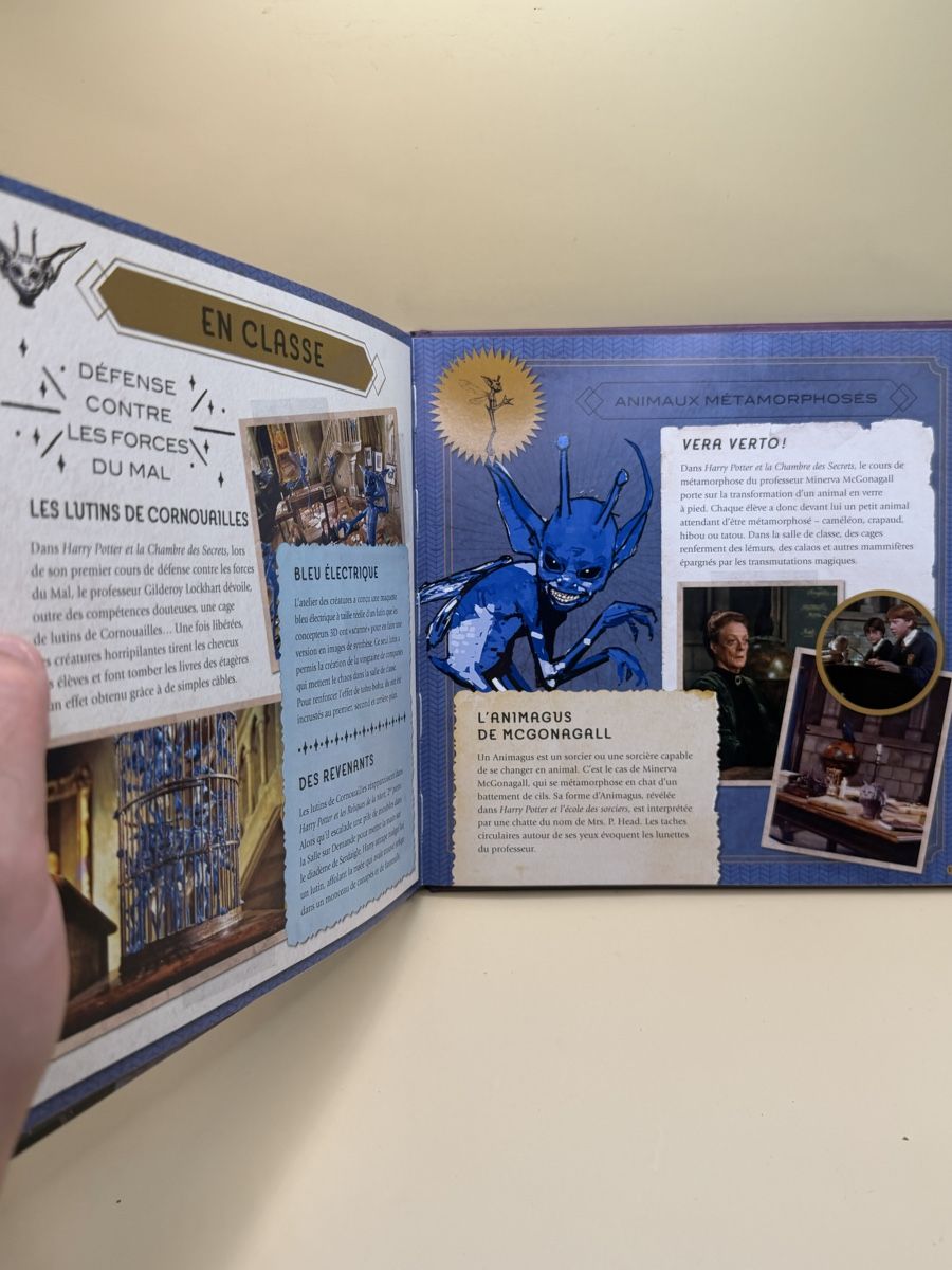 Libri: Harry Potter: Créatures - Le Carnet Magique – Usato da Genève venduto da sho_67qj 5