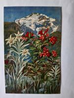 Alpenpostkarte mit Edelweiss und Alpenrose motiv