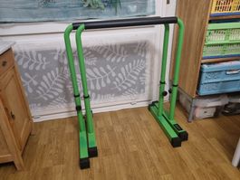 POWER GUIDANCE Dip Barren Dip Bar